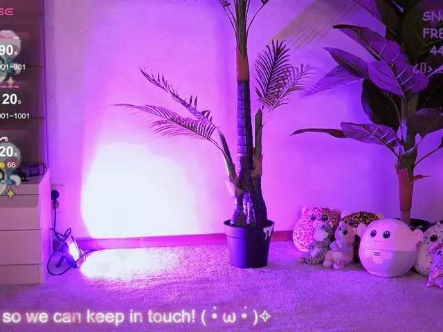 1 - 