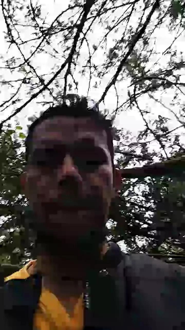 1 - 