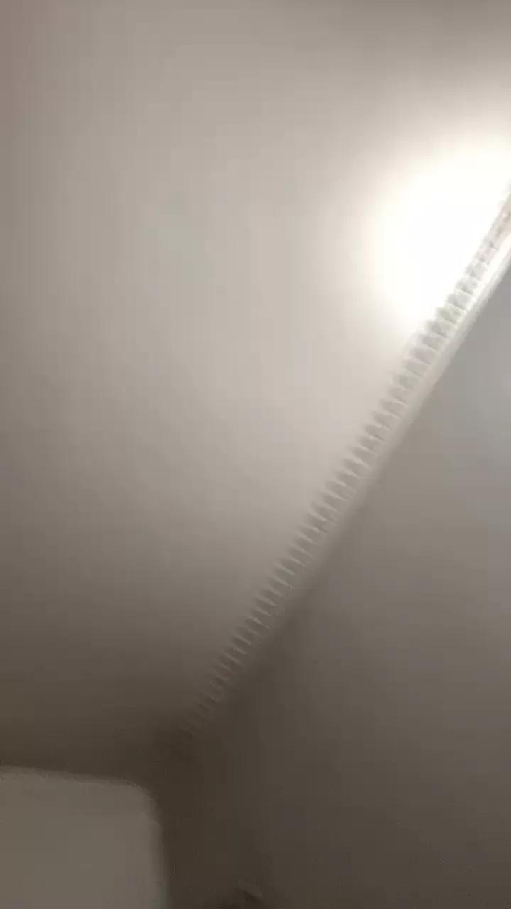 1 - 