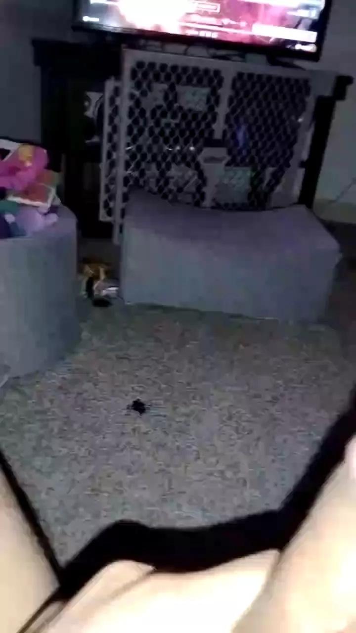 1 - 