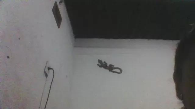1 - 