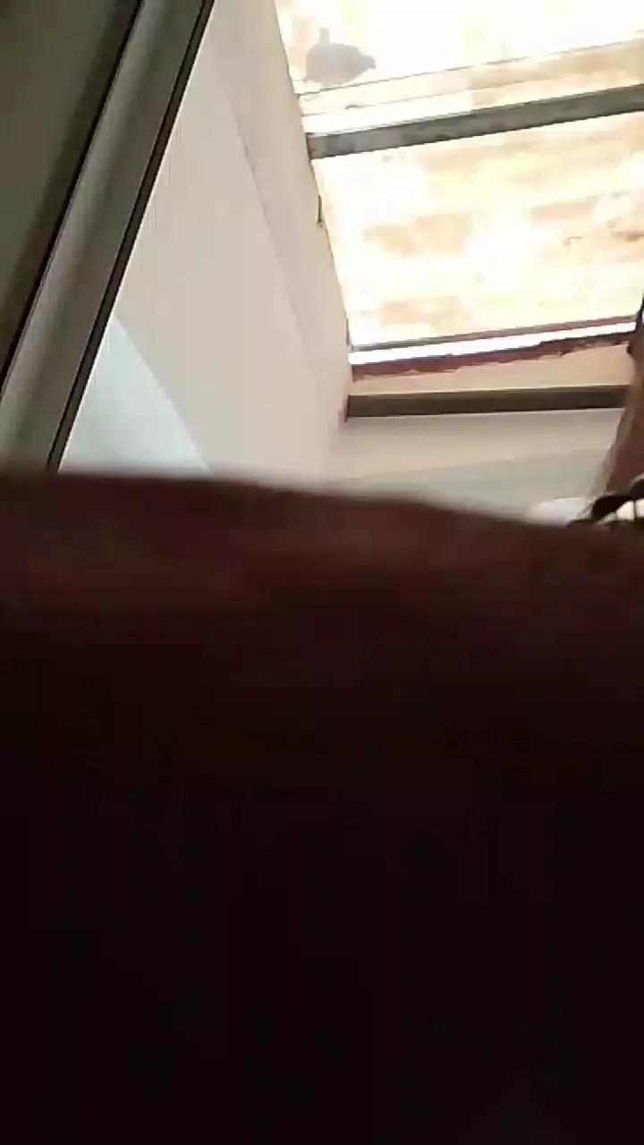 1 - 