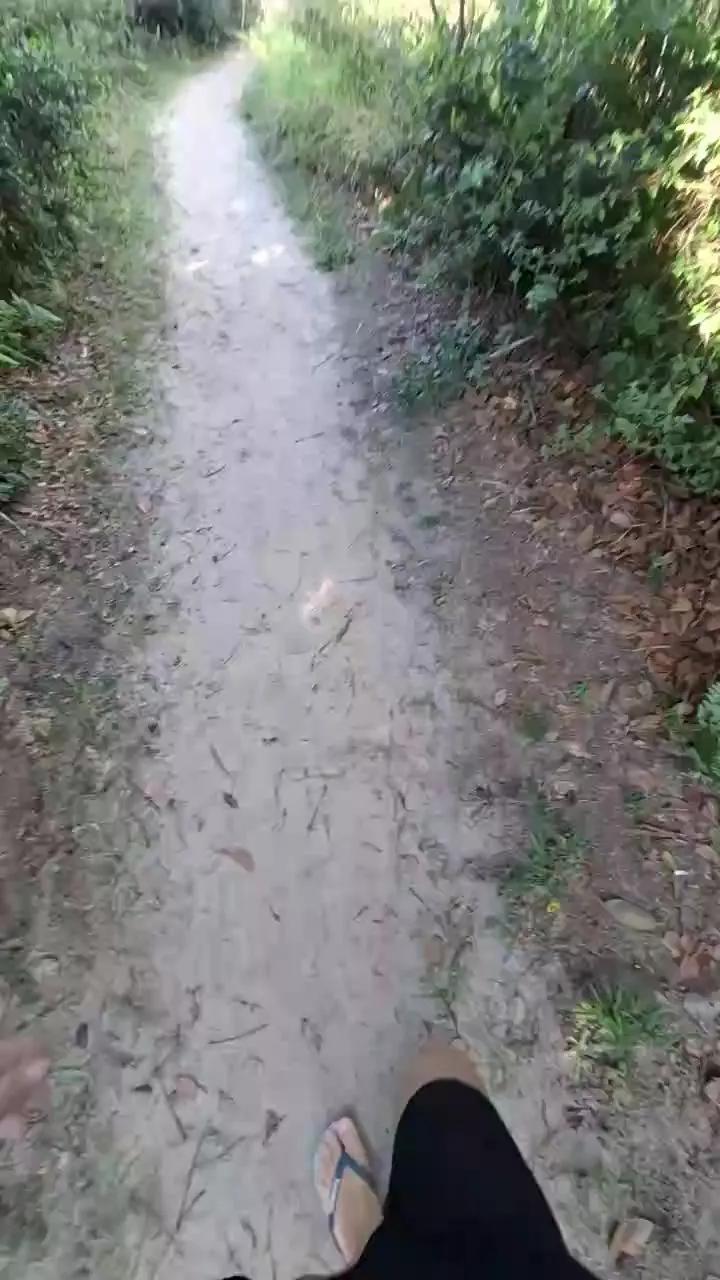 1 - 