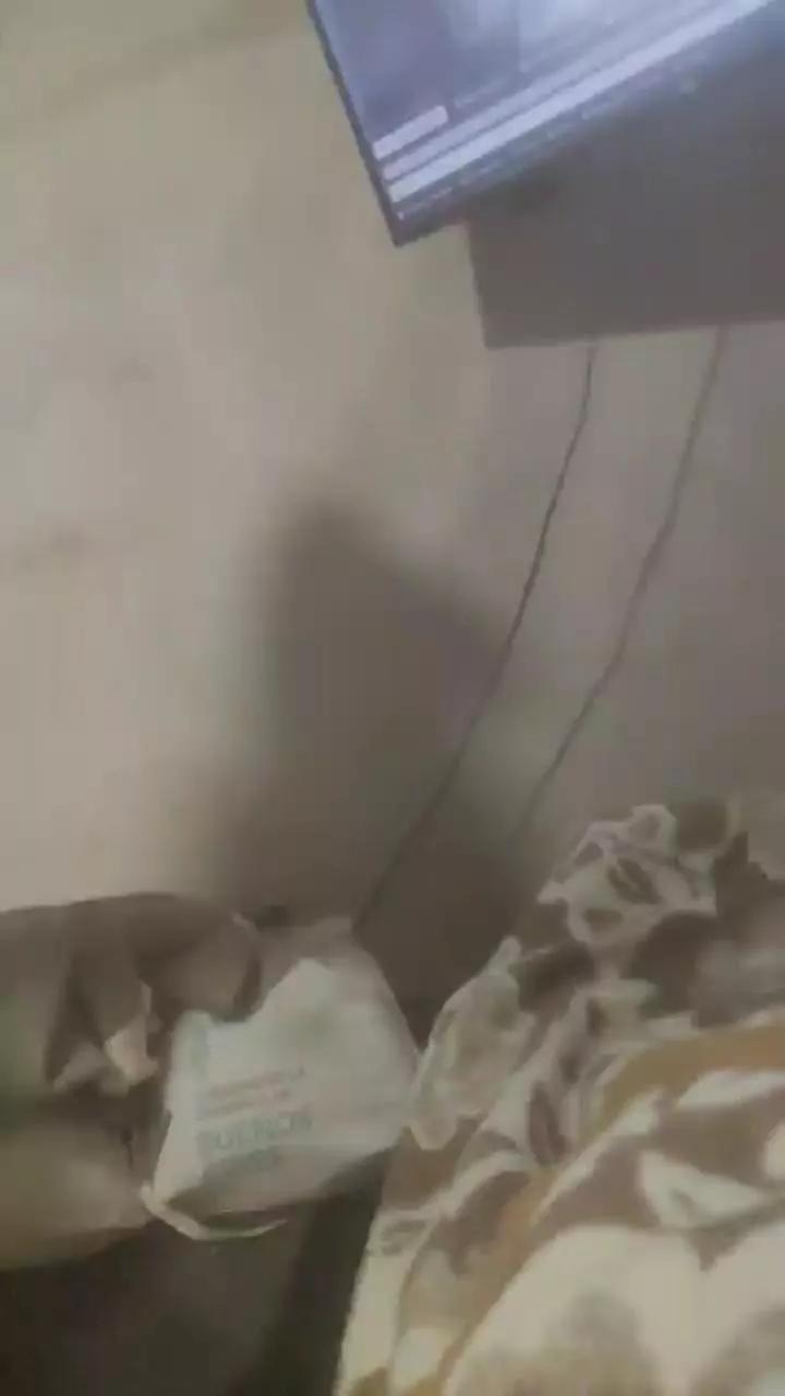 1 - 