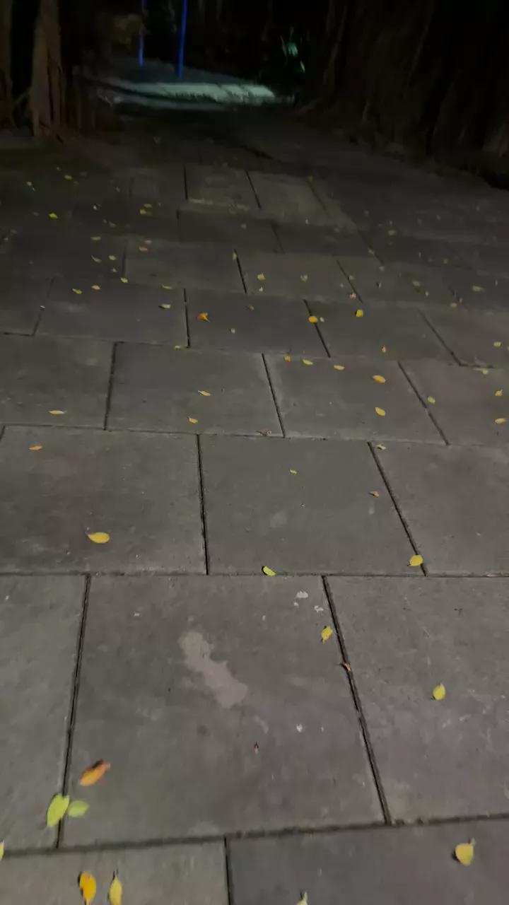 1 - 