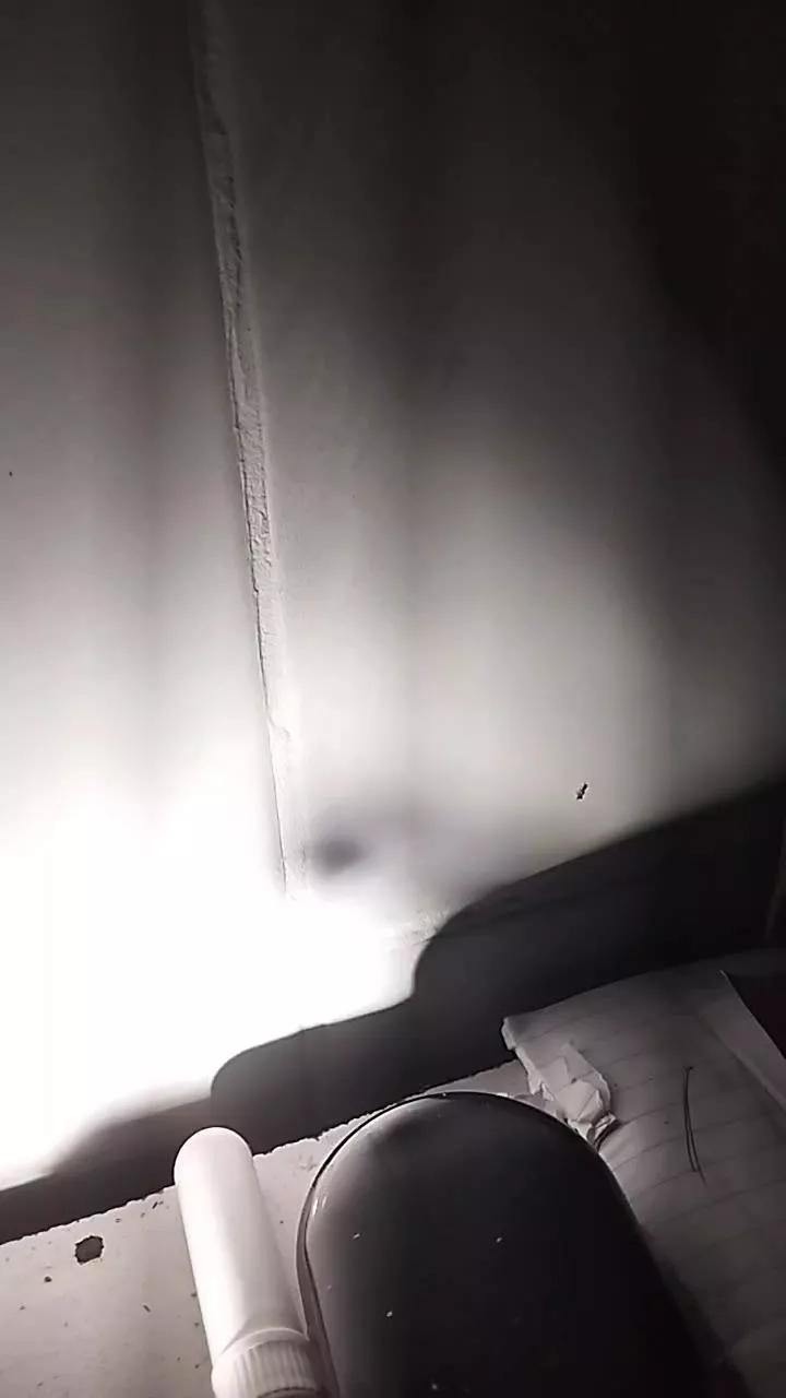1 - 