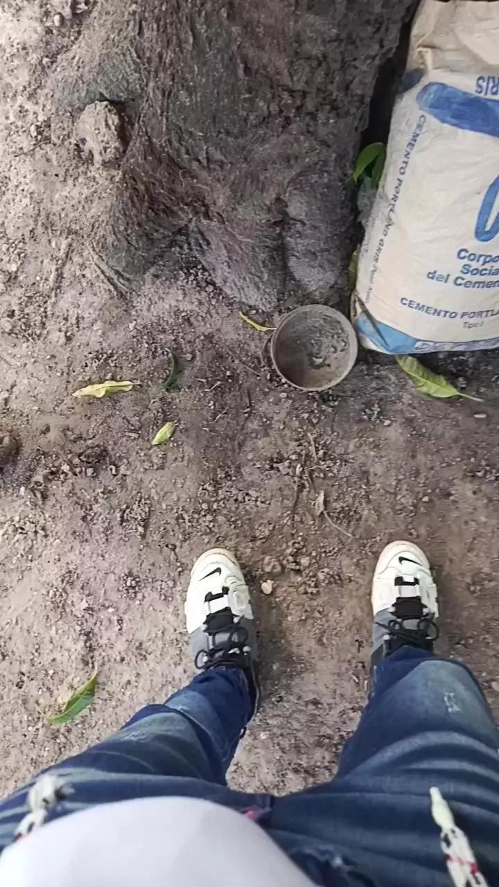 1 - 