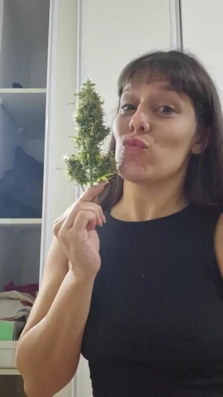 1 - 