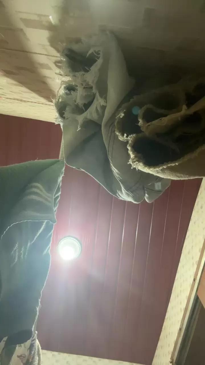 1 - 
