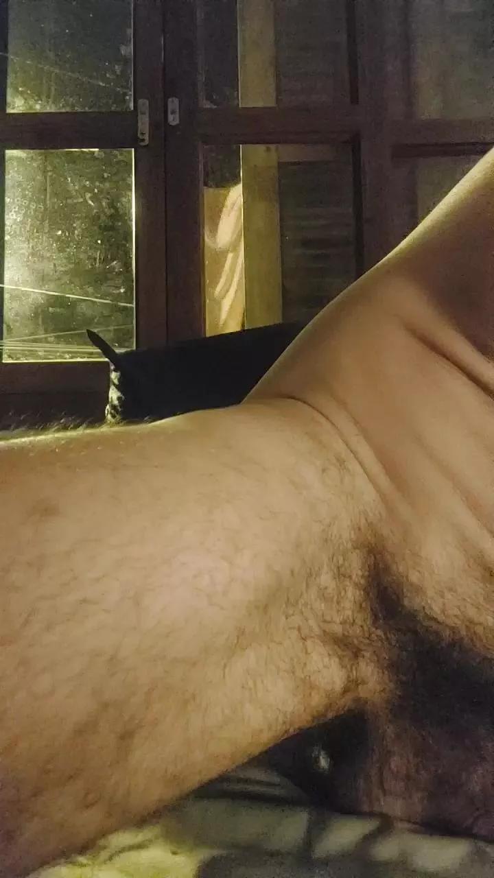 1 - 