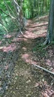 1 - 