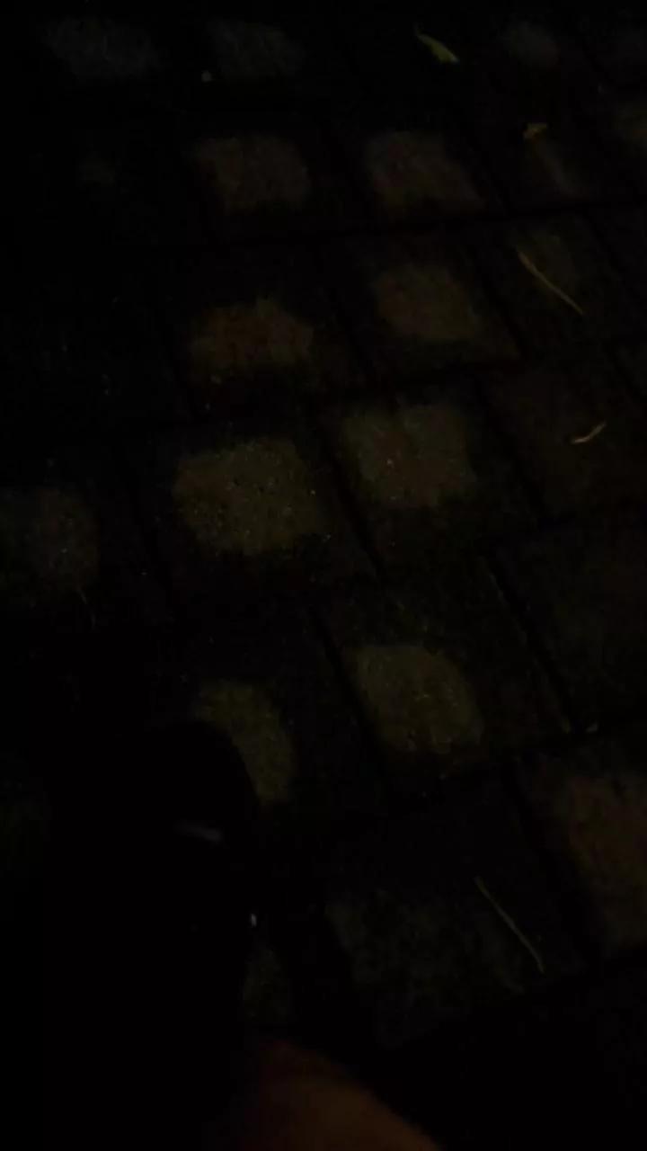 1 - 