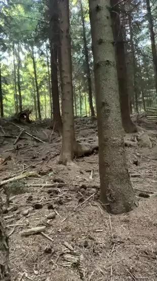 1 - 