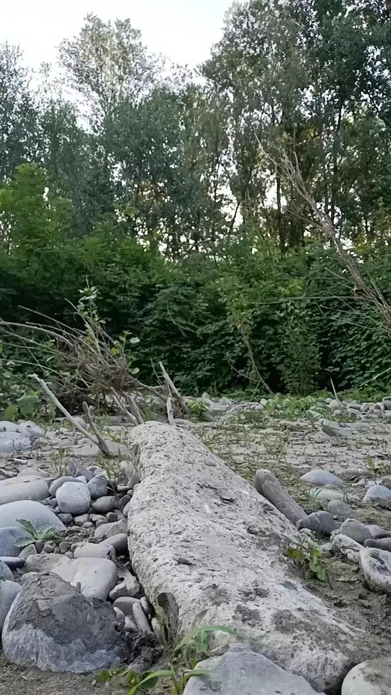 1 - 