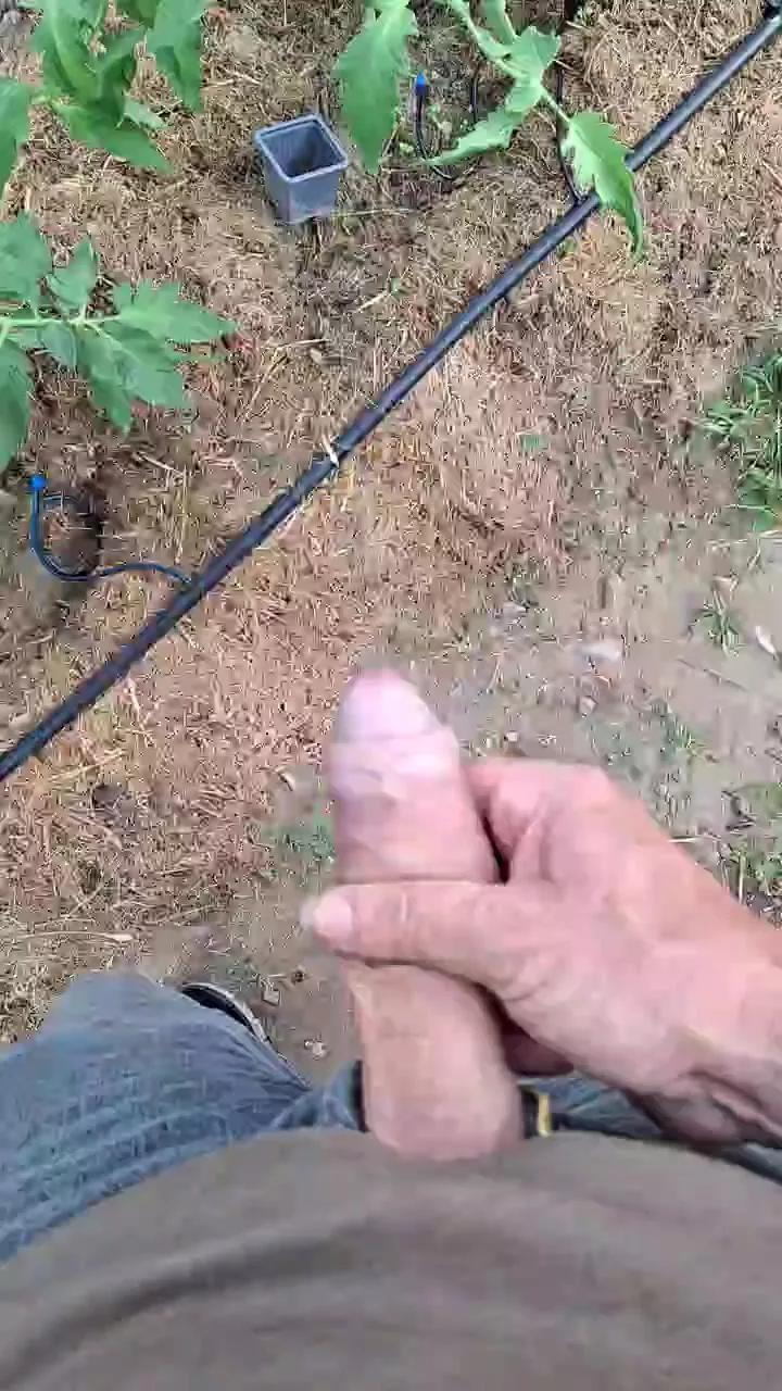 1 - 