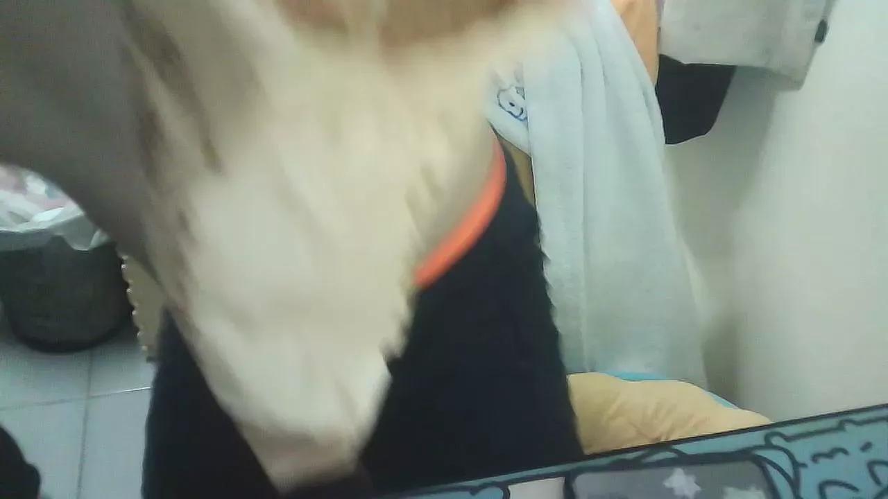 1 - 