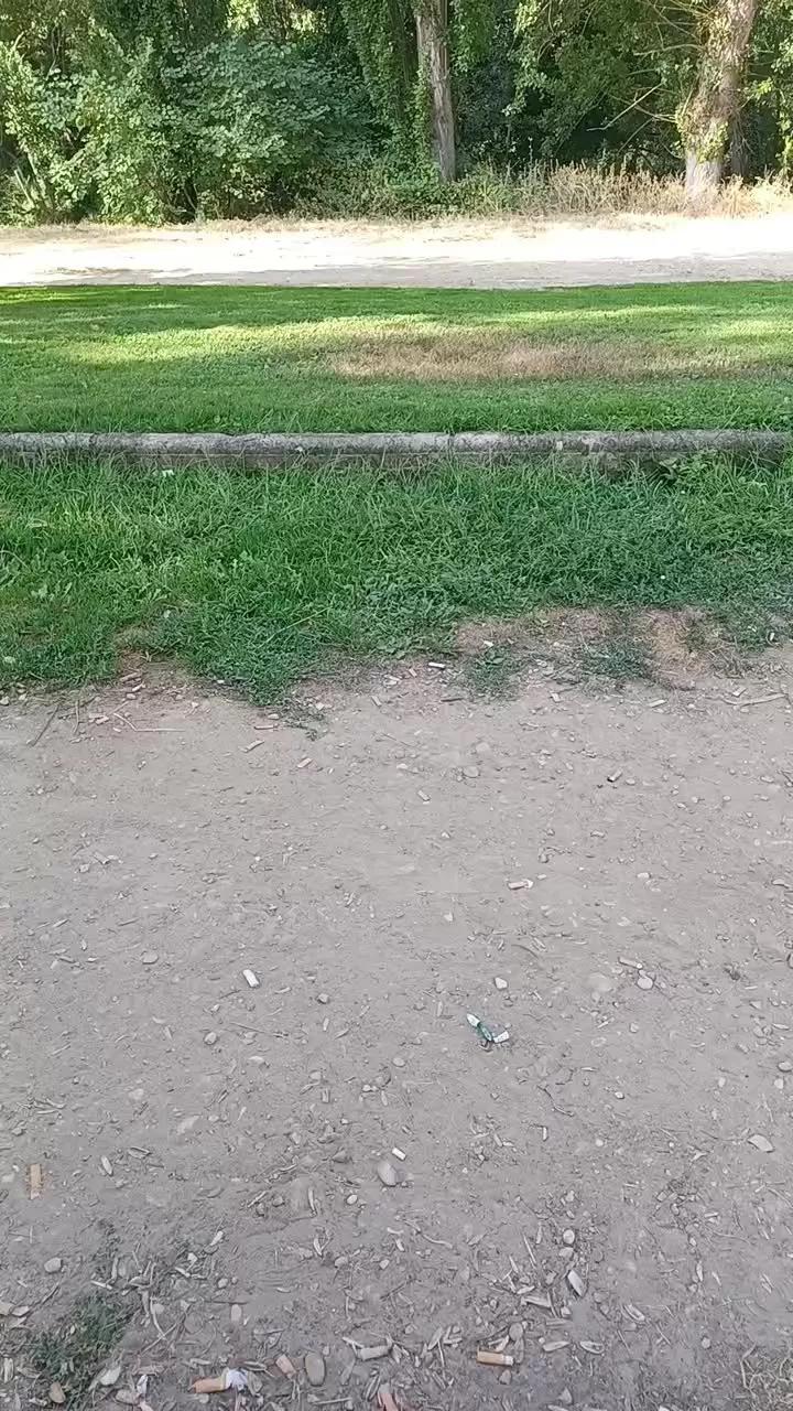 1 - 