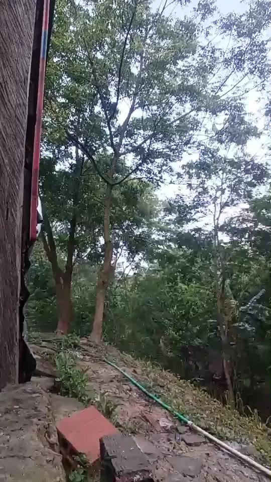 1 - 