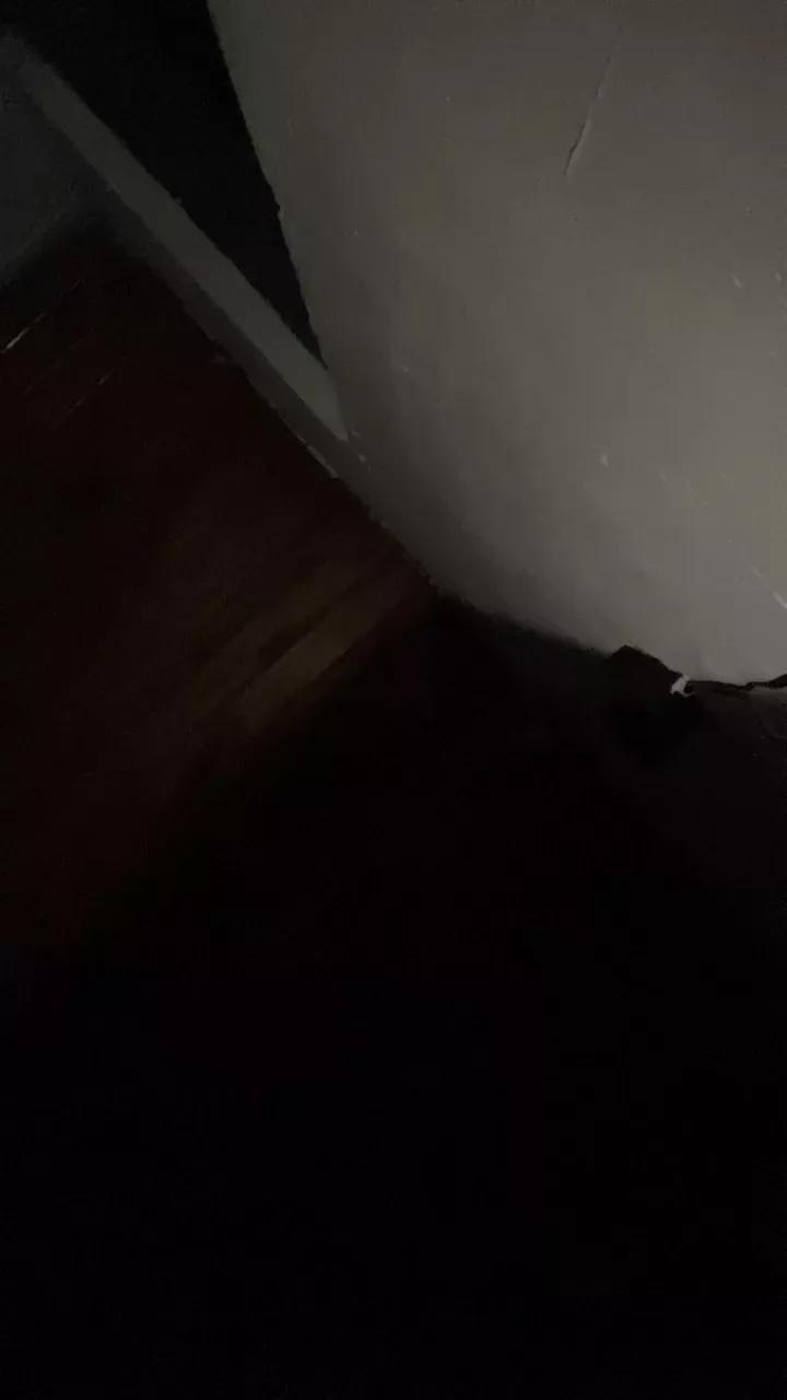 1 - 