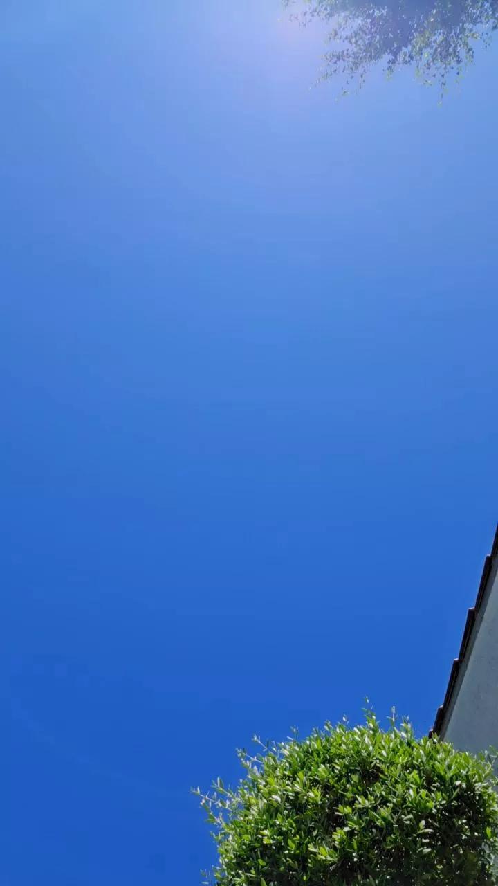 1 - 