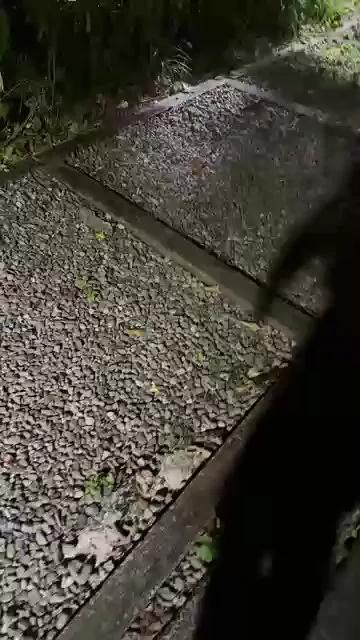 1 - 