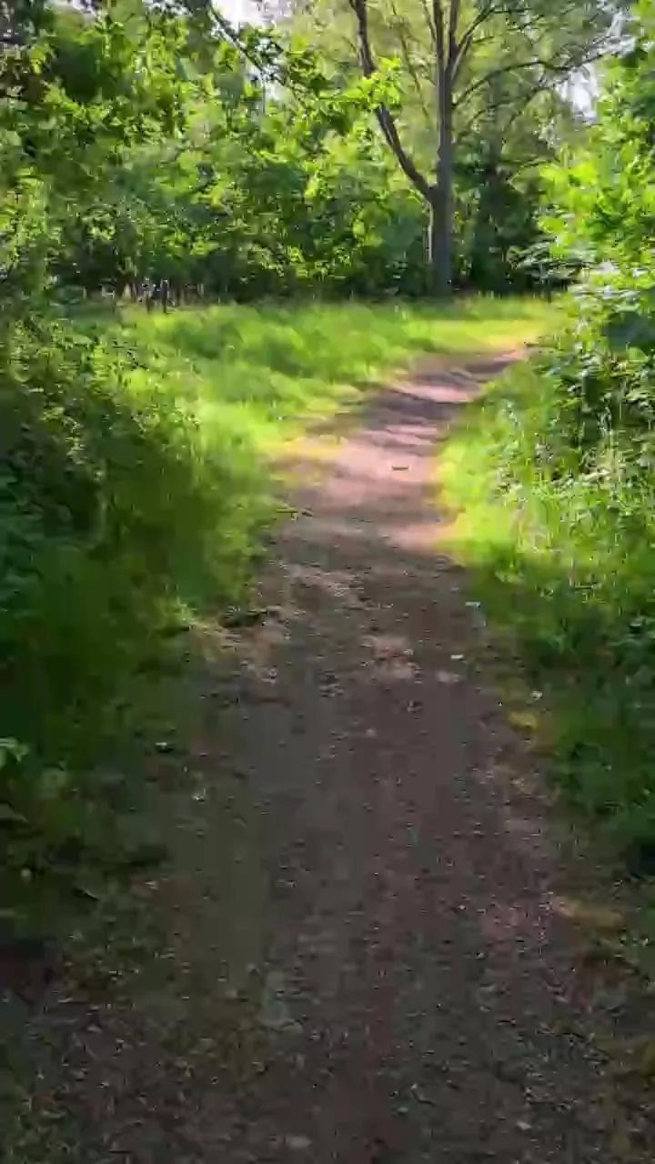 1 - 