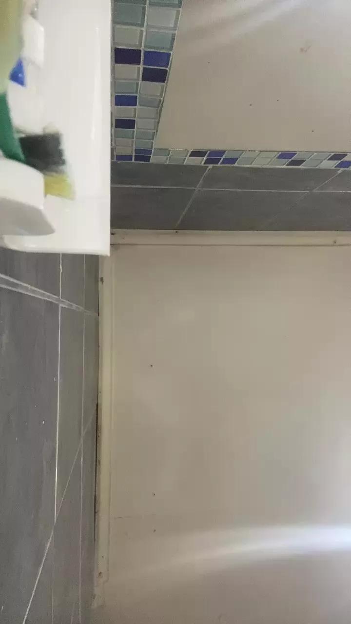 1 - 