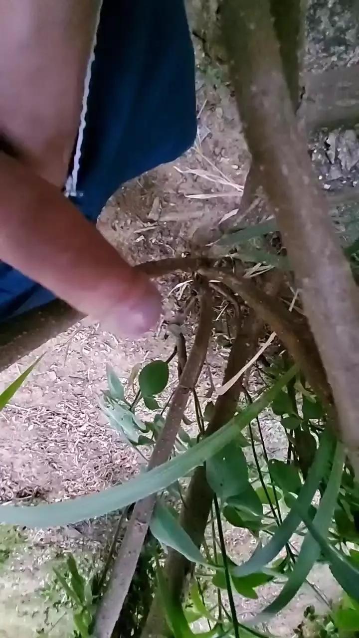 1 - 
