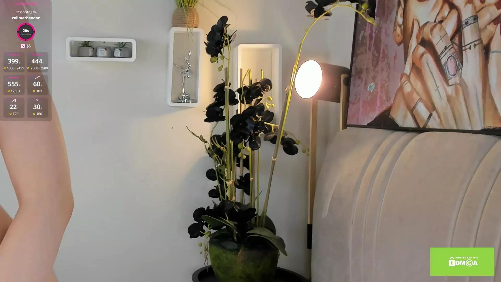 1 - 