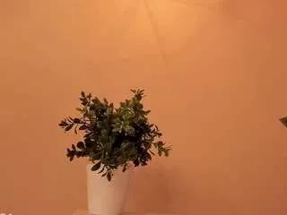 1 - 