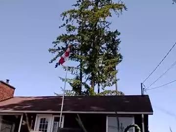 Cling to live show with littleleo96 from Chaturbate 