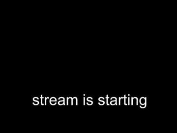 ocicat — Ocicat's room