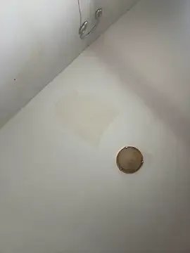 baadievino on StripChat 