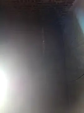 Bear_bear0 on StripChat