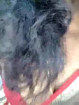 Cling to live show with City_Queen_Kannada_Telugu from StripChat 
